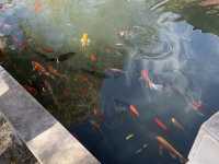 Lijiang Ancient Town