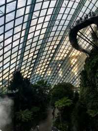 Misty Jungle in a Glass Dome
