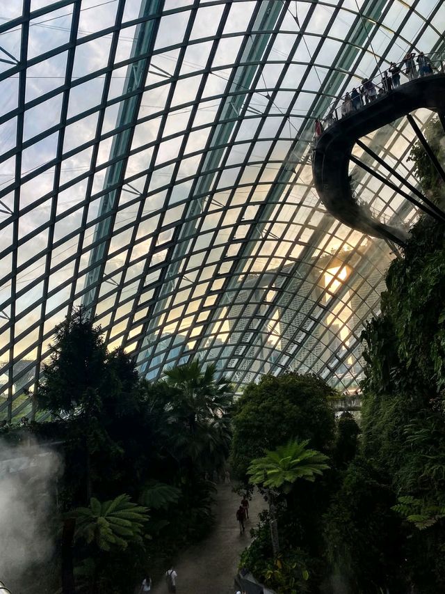 Misty Jungle in a Glass Dome