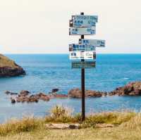 Futatsugame Beach: Shizuoka’s Secret Coastal Paradise – A Solo Traveler’s Escape"** 🌊🐢   