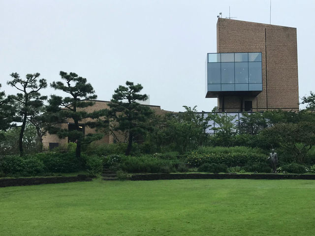 Green Tea Bliss at Ossuloc Tea Museum, Jeju