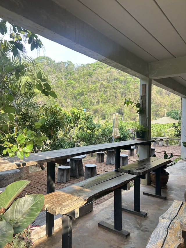 รีวิว “บ้านหมากม่วง” เขาใหญ่ 🥭
