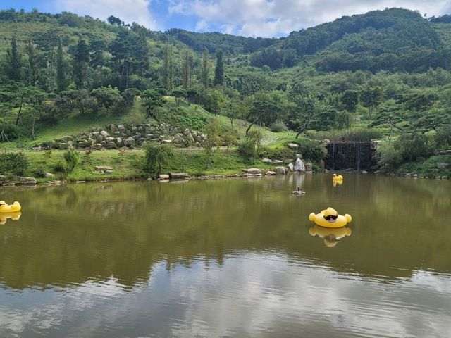 루지타기