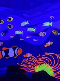 Under the Sea at SeaWorld Ancol