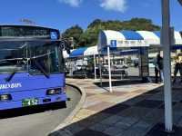 Detective Conan's "Mysterious Journey to Shirahama" vs. Real-Life Shirahama