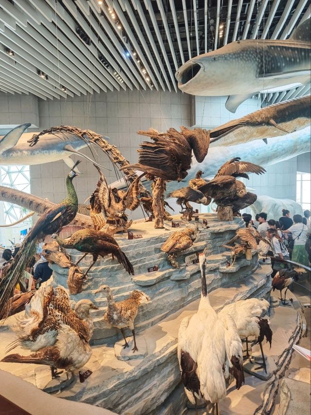 上海親子旅行最值得來的地方，雨天備案也很合適喔