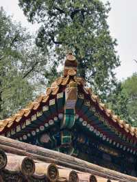 พระราชวังต้องห้าม (Forbidden City) : Beijing