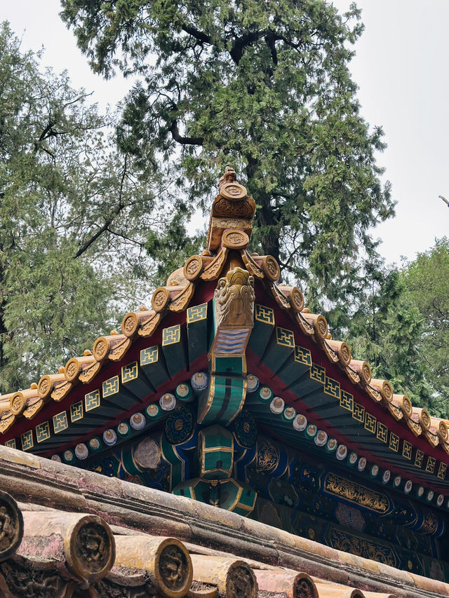 พระราชวังต้องห้าม (Forbidden City) : Beijing