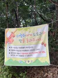 서울 둘레길 걸어보기