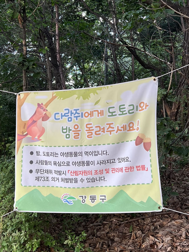 서울 둘레길 걸어보기