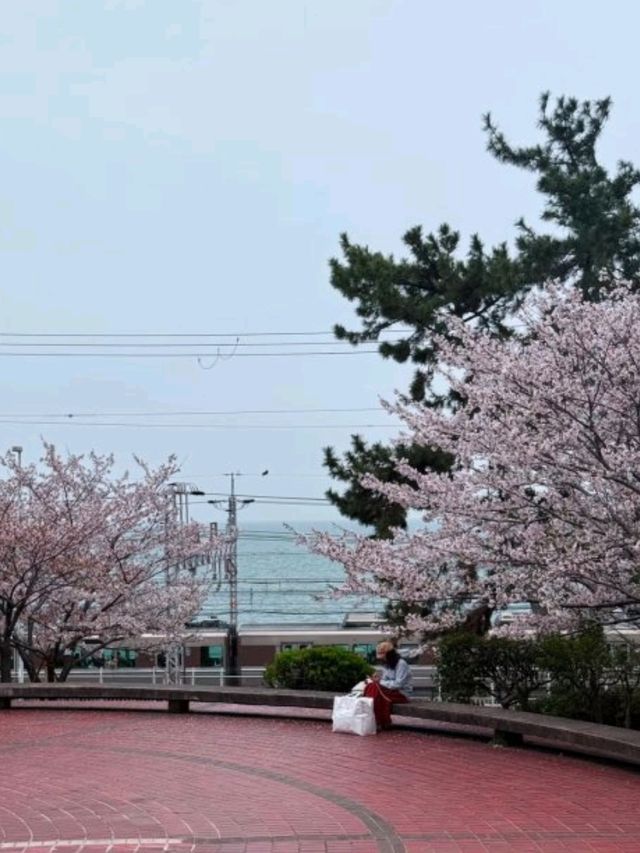 神戶須磨浦山上遊樂園🎢🌊 山頂有單軌車