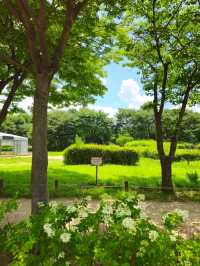 인천대공원 산책로