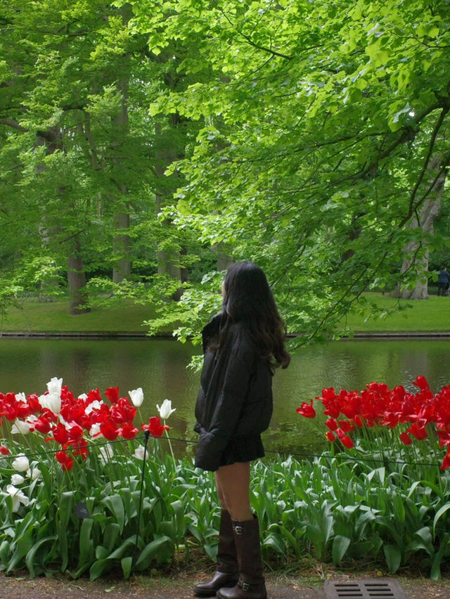 🌷 Keukenhof… เหมือนหลุดเข้าไปอยู่ในเทพนิยายดอกไม้