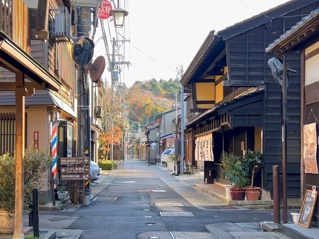 Edo Echoes: A Stroll Through Higashi Chaya District