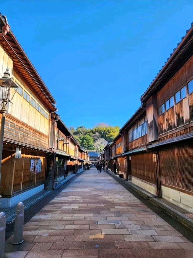 Edo Echoes: A Stroll Through Higashi Chaya District