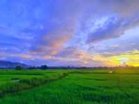 Tranquil Beauty