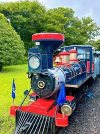🇰🇷🚂💨 濟州島必去景點🌳森林小火車
