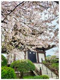 Ukiha : เมืองเล็กๆที่เหมือนอยู่ในโลกอนิเมะ