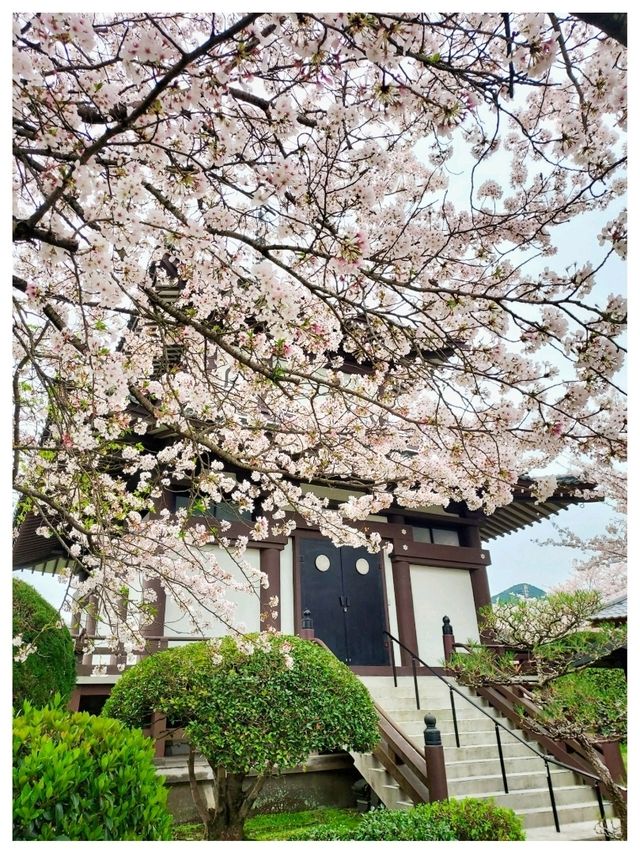 Ukiha : เมืองเล็กๆที่เหมือนอยู่ในโลกอนิเมะ