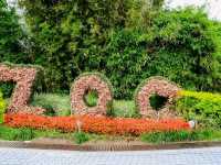 สวนสัตว์ไทเป Taipei Zoo 