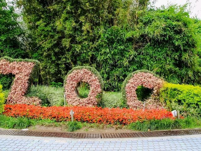 สวนสัตว์ไทเป Taipei Zoo 