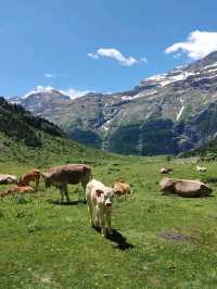 Nature Feels and Mountain Peace at Circo de La Larri