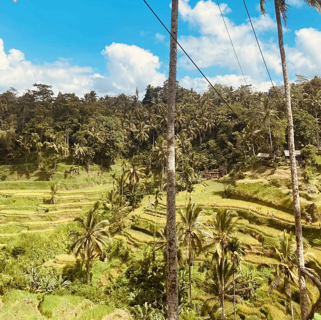 🌾✨ *Tegalalang Rice Terrace: Bali’s Iconic Emerald Staircase* ☀️🌿