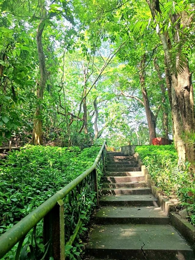 La Mesa Ecopark: A Green Retreat in Metro Manila