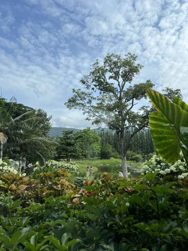 Bucolic, a lovely place in Khao Yai 🇹🇭
