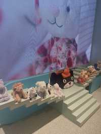 Jenny cat 新鋪開張啦 