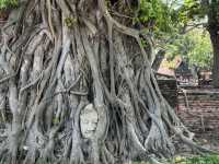 3D2N Bangkok-Ayutthaya weekend short getaway 