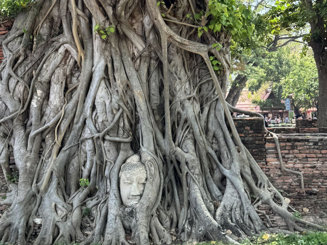 3D2N Bangkok-Ayutthaya weekend short getaway 