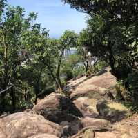 臺北·金面山⛰️台北市中心的驚艷稜線小百岳