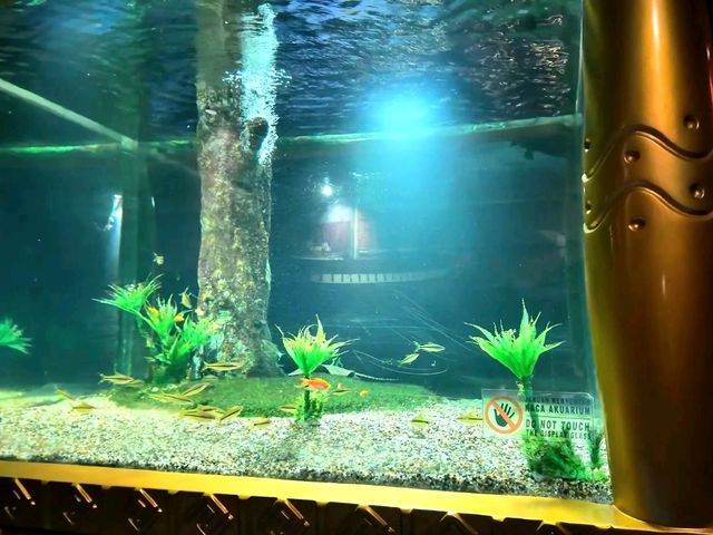 Dive Into the Wonders of SeaWorld Ancol