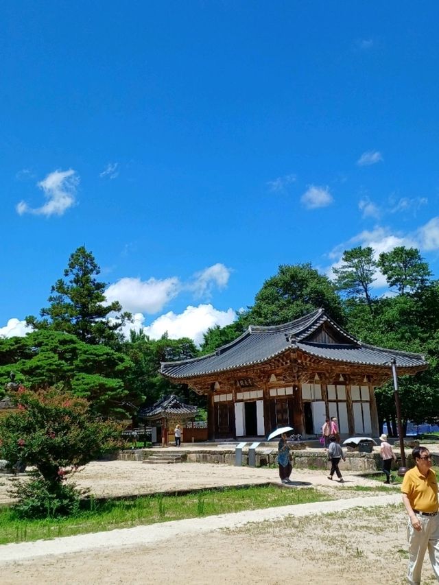 가족과 함께 걷는 소중한 시간 👨‍👩‍👧‍👦