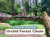 Orchid Forest Cikole