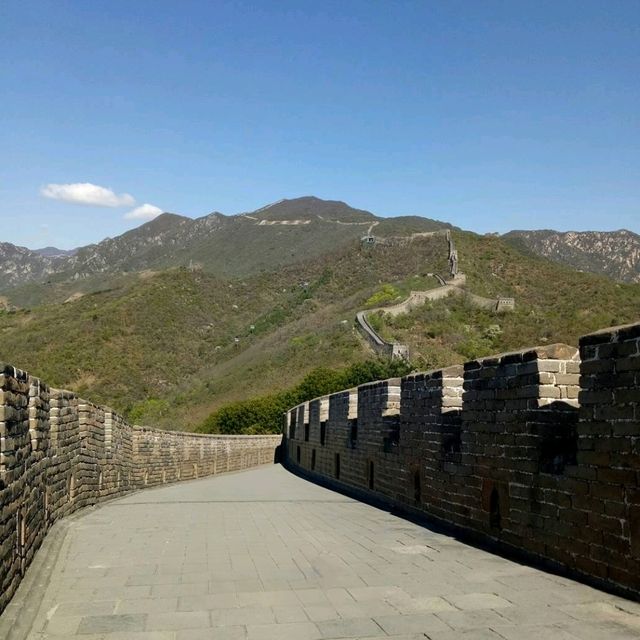 The Great Wall's Green Heart: Discovering Mutianyu's Wild Beauty