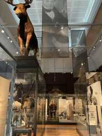 🖼️📚 RAMM – พิพิธภัณฑ์ที่ไม่ได้แค่โชว์ของ ✨🎨