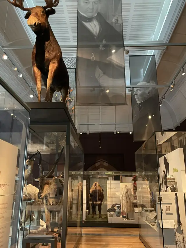 RAMM – A Museum That’s More Than Just Exhibits