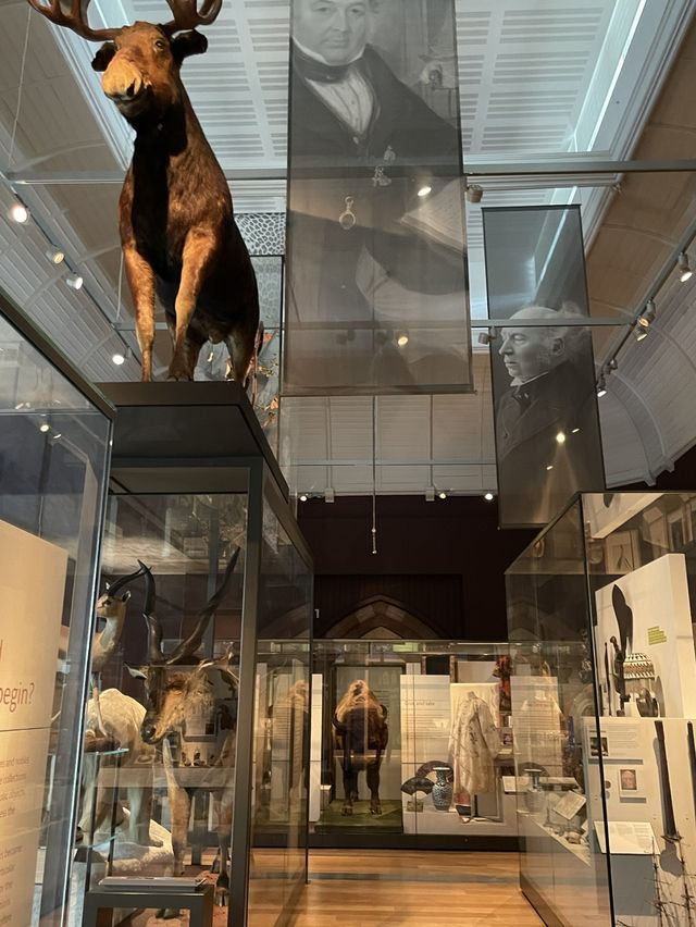 🖼️📚 RAMM – พิพิธภัณฑ์ที่ไม่ได้แค่โชว์ของ ✨🎨