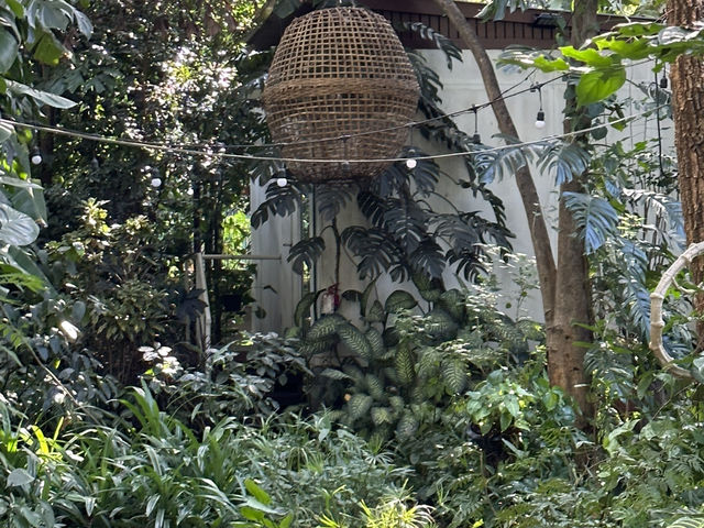 🌿 清邁・Cochet Hotel 科切特酒店