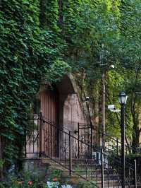 Morning Stroll on Yongjia Road — A Self-Hypnosis Beneath the Sycamores