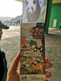 A Day with Pandas: Visiting the Chengdu Research Base of Giant Panda Breeding