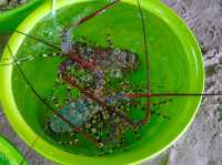 หมู่บ้านชาวประมง มุยเน่ (Mui Ne Fishing Village)