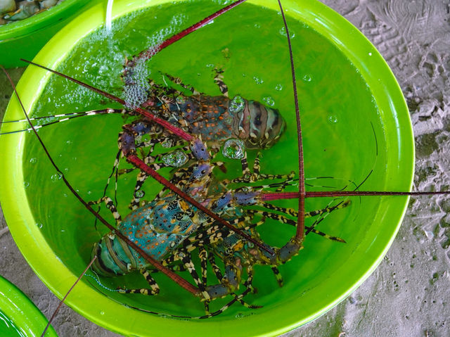 หมู่บ้านชาวประมง มุยเน่ (Mui Ne Fishing Village)