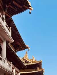 A Photographer's Delight: Juxtaposition of Ancient and Modern Shanghai