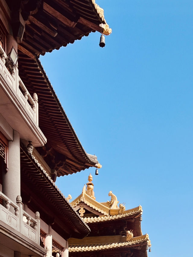 A Photographer's Delight: Juxtaposition of Ancient and Modern Shanghai