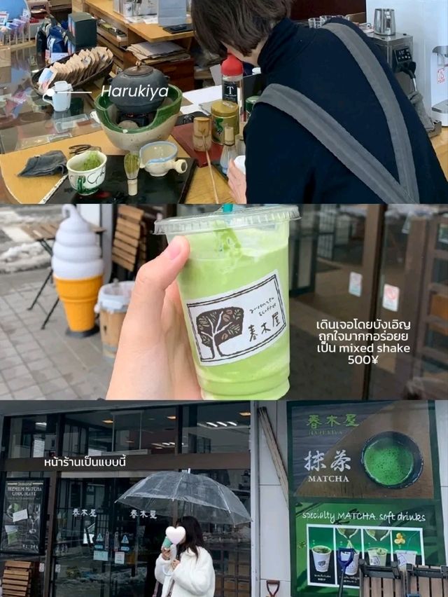 Kawaguchiko 🏔 ในวันที่อากาศไม่เป็นใจ