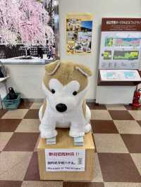 秋田機場：溫馨迷你的地方空港