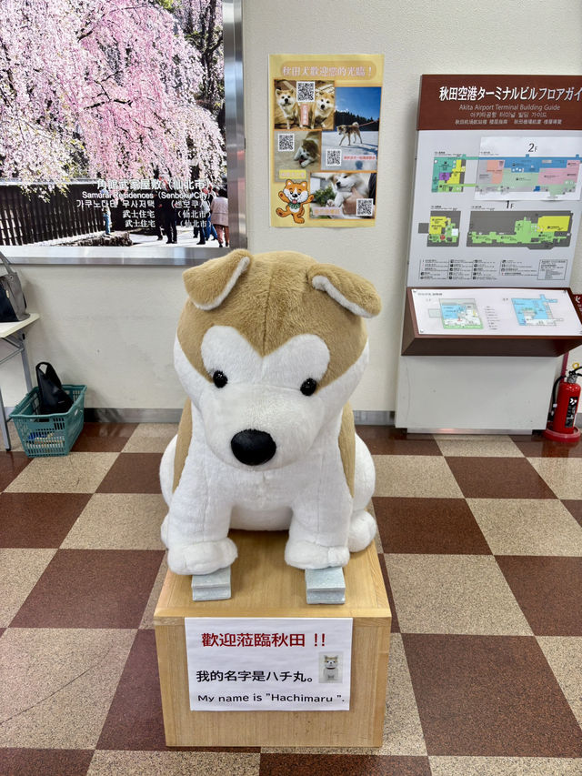 秋田機場：溫馨迷你的地方空港